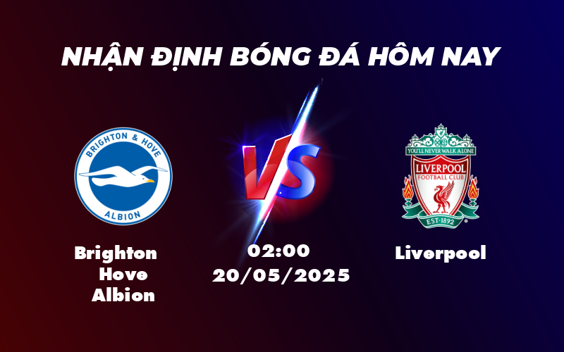 brighton hove albion liverpool 20 05 ngoai hang anh